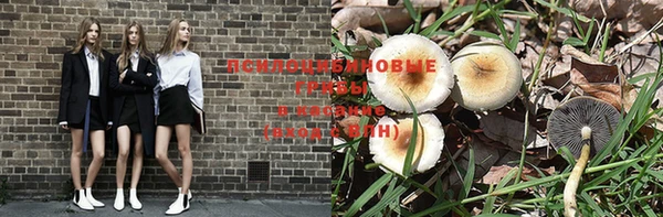индика Магадан
