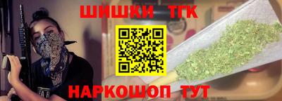 индика Гусев