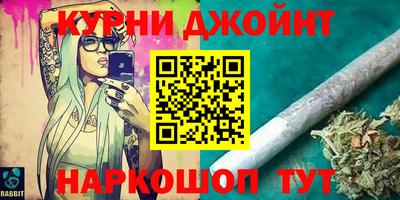 индика Гусев