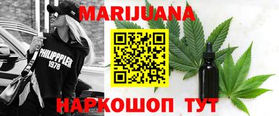 индика Гусев