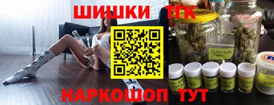 индика Гусев