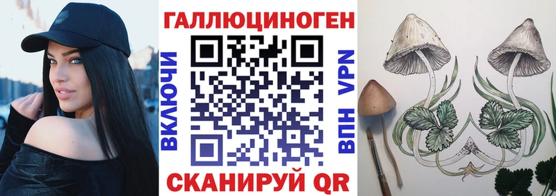 Галлюциногенные грибы Psilocybine cubensis  Ялта 