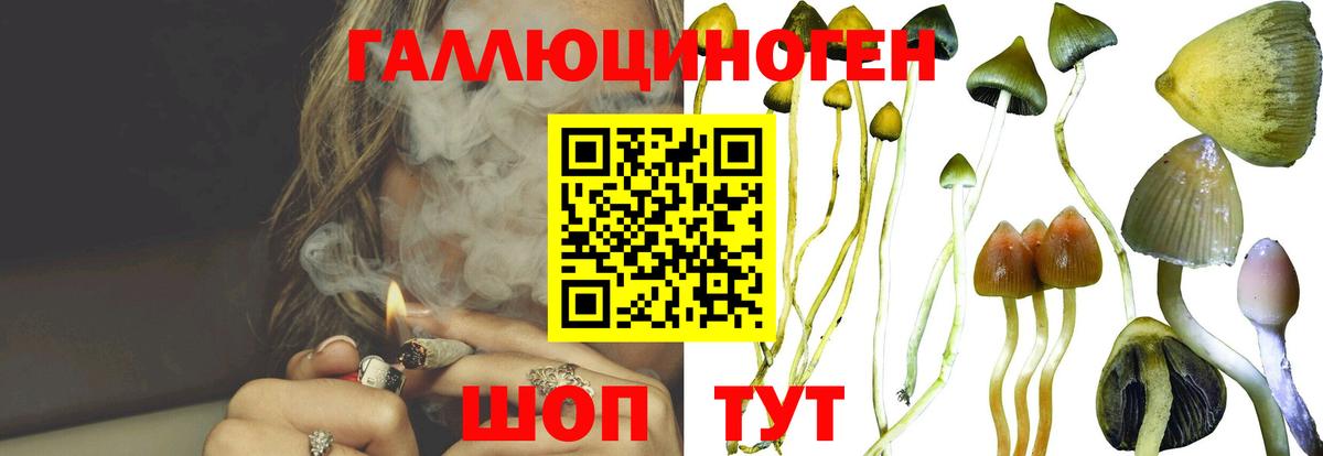 Галлюциногенные грибы GOLDEN TEACHER Ялта